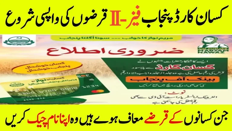 Kisan Card Phase 2 Status by CNIC – Full Guide for Punjab Farmers