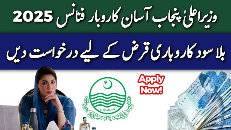 CM Punjab Asaan Karobar Finance 2025