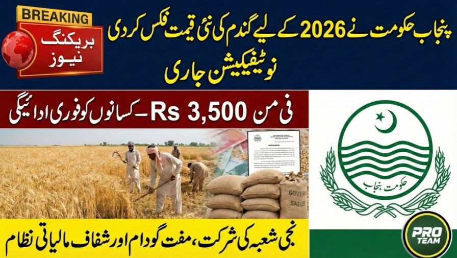 Punjab Government Fixes New Wheat Price for 2026, Notification Issued