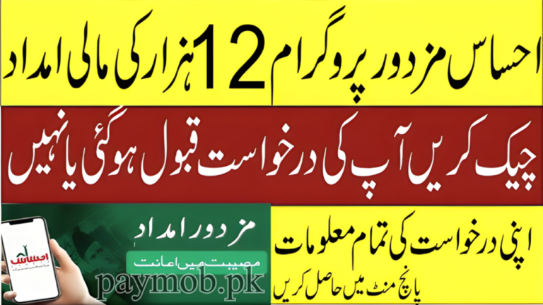 Ehsaas Labour Program 13500