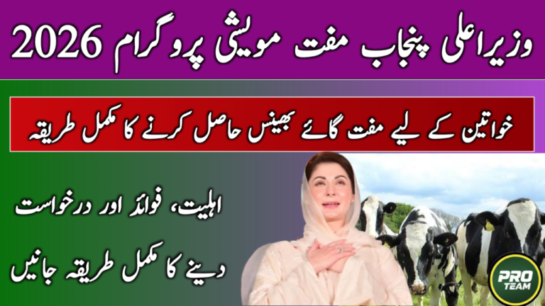 CM Punjab Free Livestock Program 2026